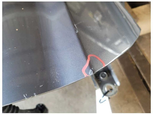 2015-2023 Ford Mustang GT S550 Passenger Front Door Coupe Shell Paint M7 2391