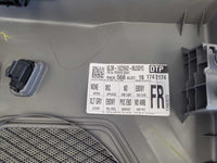 2019-2020 Ford F150 Pickup Truck Driver Left LH Front Door Panel Card Handle - The Parts Farm