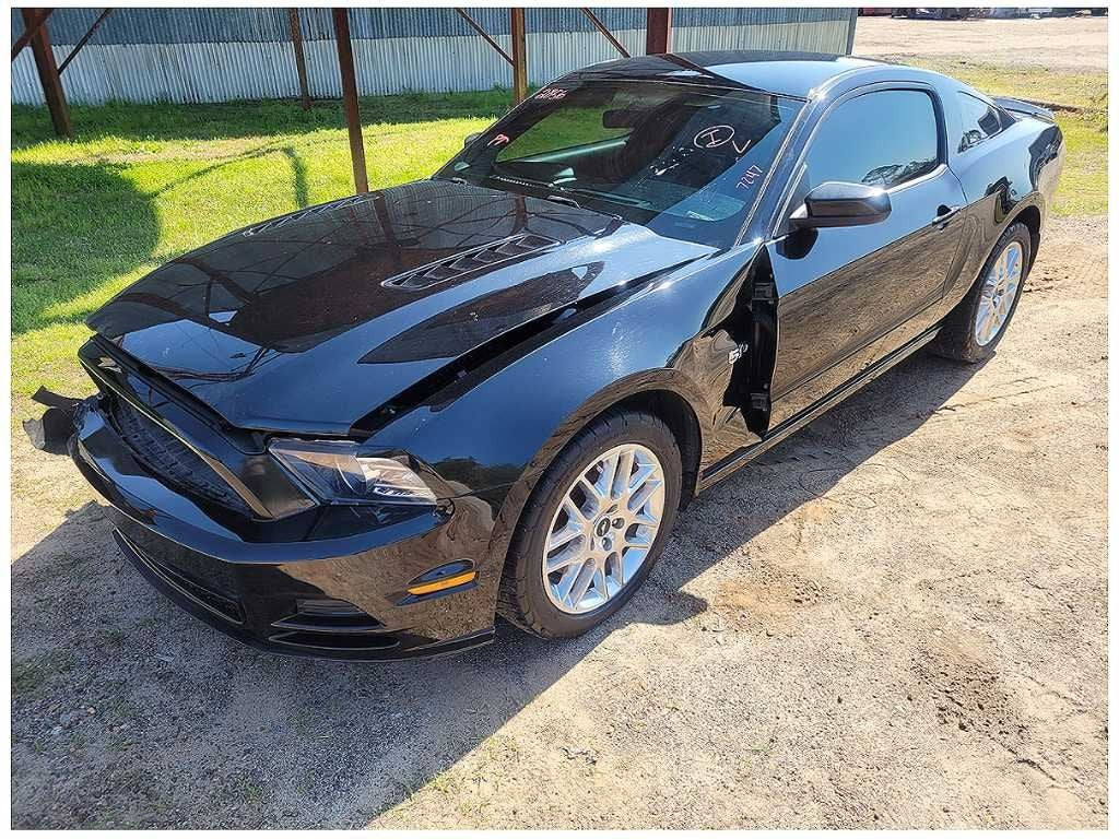 47646304