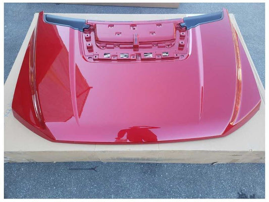 2017-2020 Ford F150 Raptor Pickup Truck Hood Front Shell New Take Off - The Parts Farm