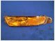 2005-2009 Ford Mustang GT Driver LH Front Turn Signal Amber Parking Light 2585 - The Parts Farm