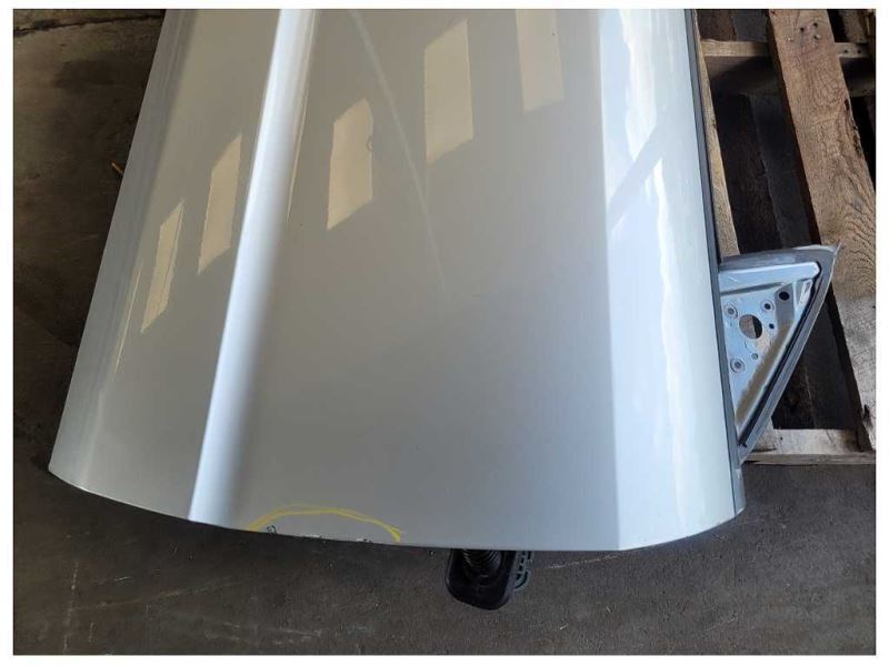 2005-2009 Ford Mustang GT Passenger Front Coupe Door Shell Paint YN 2569 - The Parts Farm