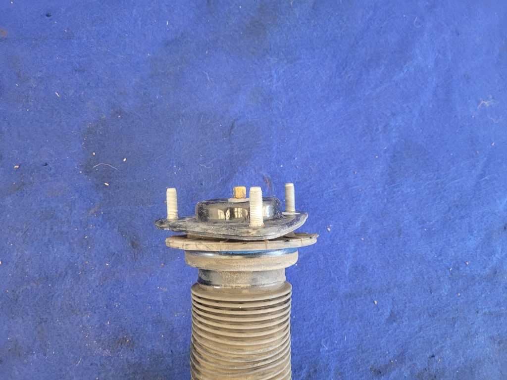 47036503
