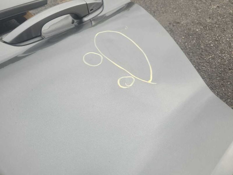 2015-2023 Ford Mustang GT S550 Driver Left Front Door Coupe Shell Paint J7 2033 - The Parts Farm