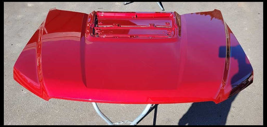 New Take Off 2017-2020 Ford Raptor F150 Pickup Truck Painted Hood Assembly OEM - The Parts Farm