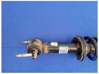 2019-2020 Ford Ranger Pickup Truck Front Driver Suspension Strut Spring 2499 - The Parts Farm