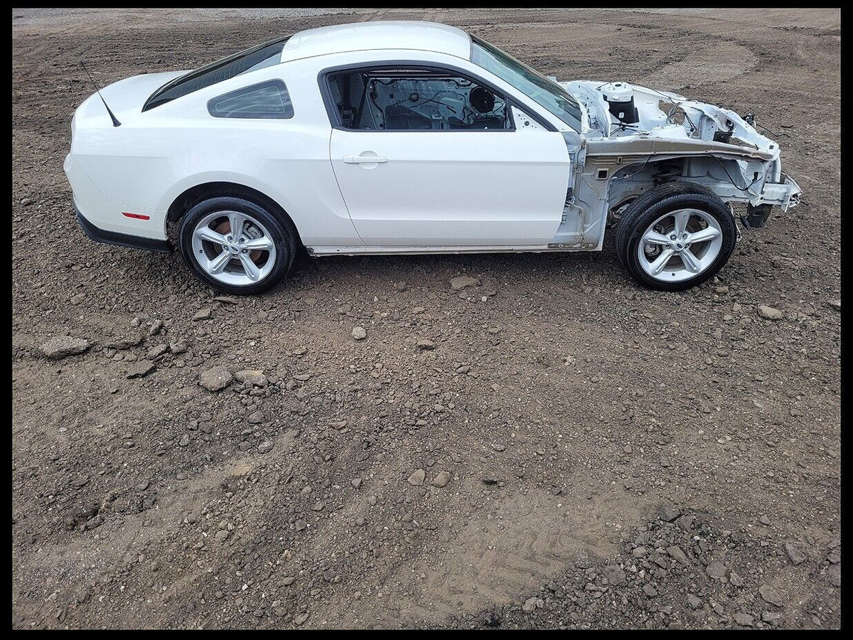 Exterior & Body