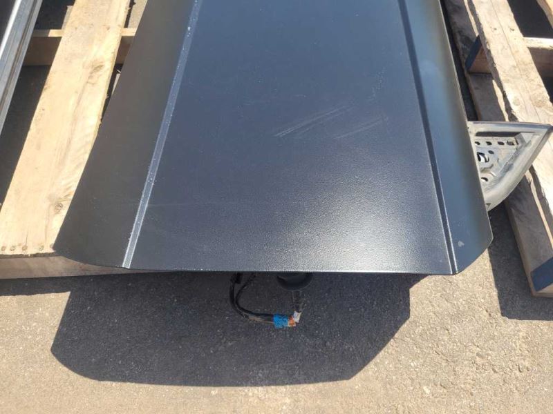 1999-2004 Ford Mustang Cobra SVT DOHC Passenger Right Door Coupe Paint Matte - The Parts Farm