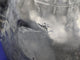 2003-2004 Ford Mustang Cobra SVT DOHC 4.6L Driver Side Fender Liner OEM Factory - The Parts Farm