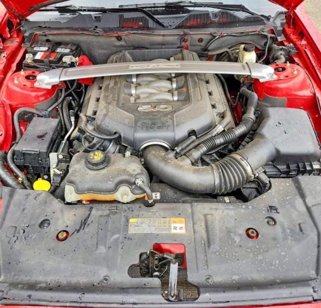 47545192