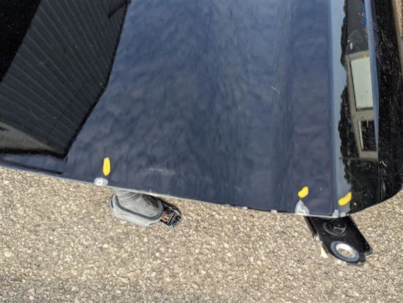 2015-2023 Ford Mustang GT S550 Passenger Door Coupe Front Shell Paint G1 2393 - The Parts Farm