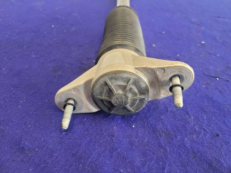2017-2021 Tesla Model 3 Standard Plus Passenger RH Rear Shock Absorber - The Parts Farm