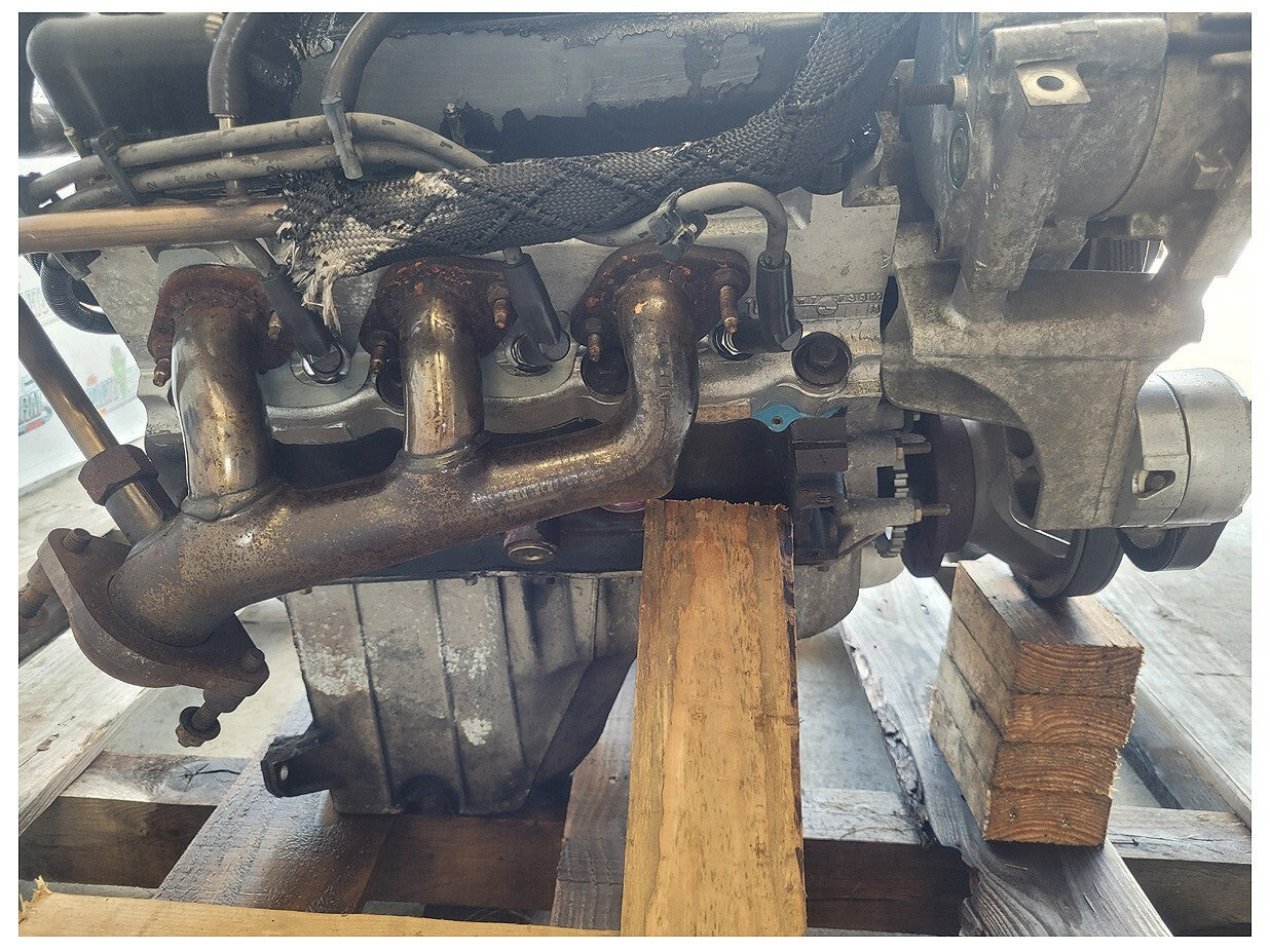44541572