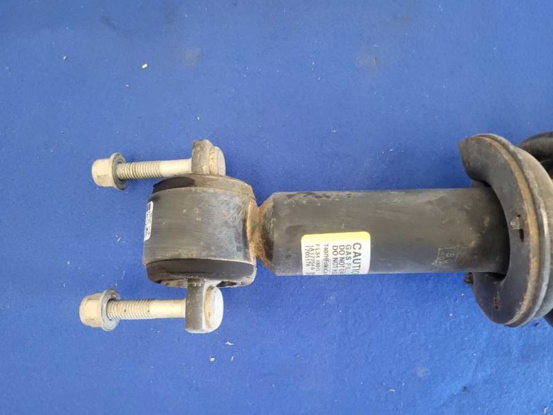 2015-2017 Ford F150 2wd Pickup Truck Front Strut Suspension Spring 2481 - The Parts Farm