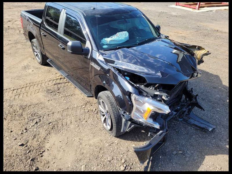 2015-2020 Ford F150 STX Pickup Truck Passenger Right Rear Back Door Panel - The Parts Farm