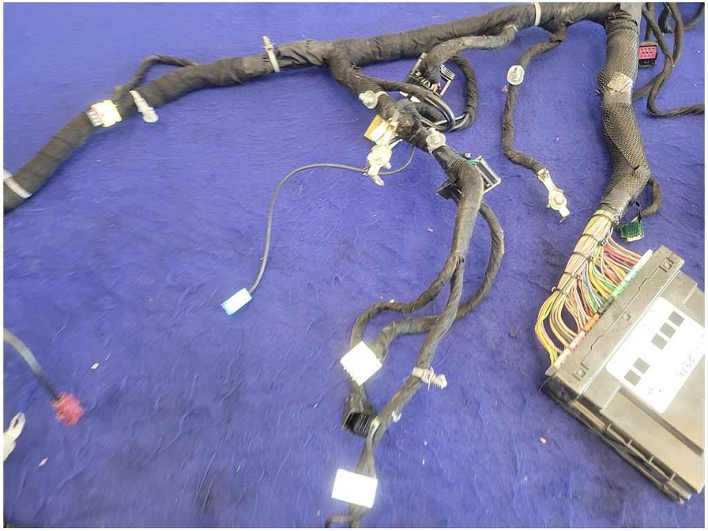 45067426