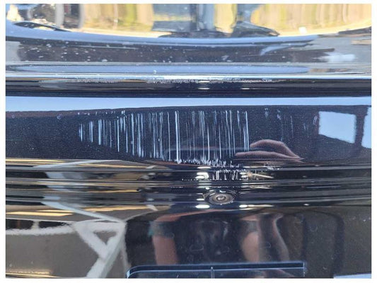 2018-2023 Ford Mustang GT S550 Trunk Deck Lid Emblem Wing Spoiler Paint G1