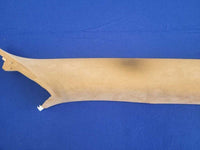 2004-2006 Porsche Cayenne Turbo 4.5L Passenger A Pillar Cover Trim 2137 - The Parts Farm