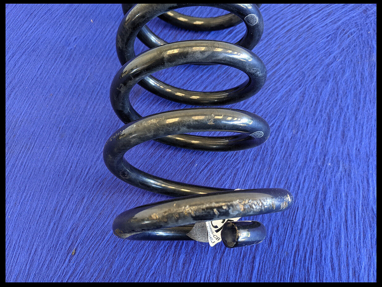 2011-2014 Ford Mustang GT Driver LH Left Rear Coil Suspension Spring OEM - The Parts Farm