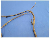 2003-2004 Mercury Marauder 4.6 Battery Starter Harness Wire Engine Plug 2534 - The Parts Farm