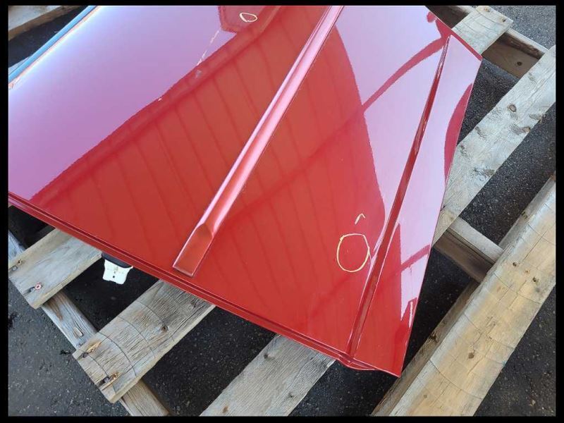 2006-2010 Dodge Charger SRT8 Rear Driver Left LH Door Shell Maroon OEM - The Parts Farm