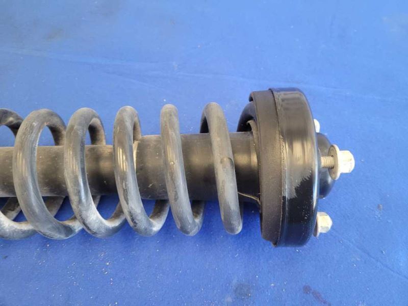 2015-2017 Ford F150 2wd Pickup Truck Front Strut Suspension Spring 2481 - The Parts Farm