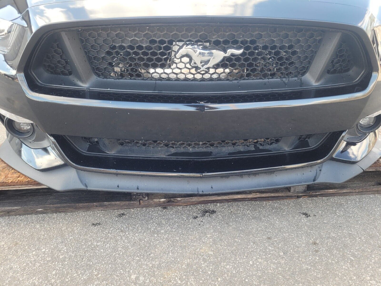 2015-2017 Ford Mustang GT S550 Front Clip Bumper Fender Hood Paint G1 2643 pp1 - The Parts Farm