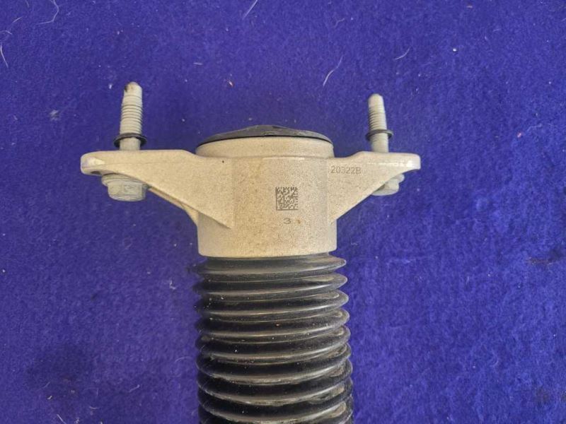 2017-2021 Tesla Model 3 Standard Plus Passenger RH Rear Shock Absorber - The Parts Farm