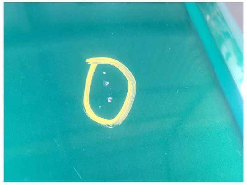 1999-2004 Ford Mustang Cobra SVT DOHC Passenger Front Door Shell Paint SW 2570 - The Parts Farm