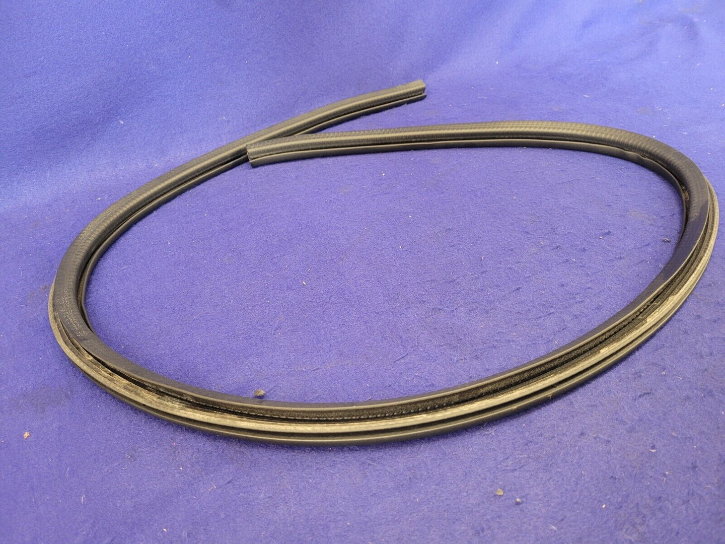 2018-2023 Ford Mustang GT S550 Driver Left LH Lower Door Sill Rubber Molding - The Parts Farm