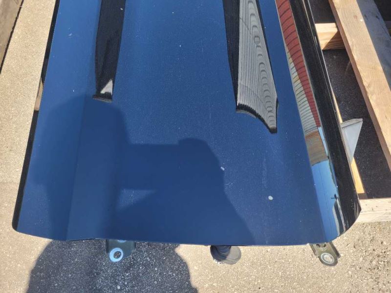 2015-2023 Ford Mustang GT S550 Passenger Right Door Coupe Shell Paint G1 - The Parts Farm