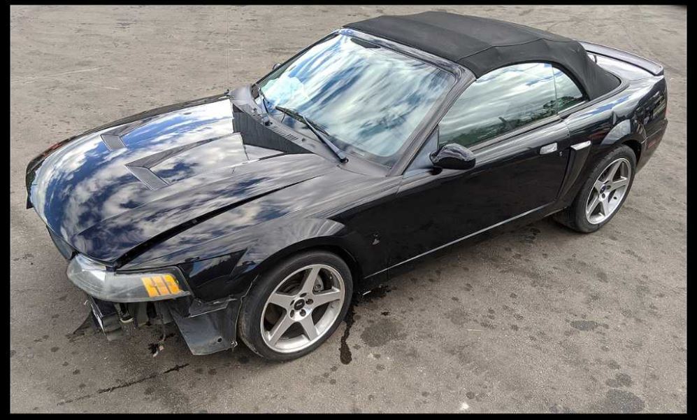 2003-2004 Ford Mustang Cobra SVT DOHC 4.6L Passenger Front Door Right RH OEM - The Parts Farm