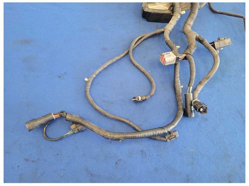 2003 Ford Mustang GT 4.6L Coupe Lamp Front Harness Wire Plug *Cut* 2556 - The Parts Farm