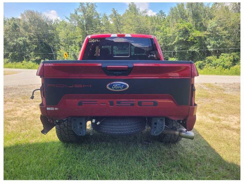 2018-2020 Ford F150 F-150 Roush Truck Pair Pull Handles Interior 2612 - The Parts Farm