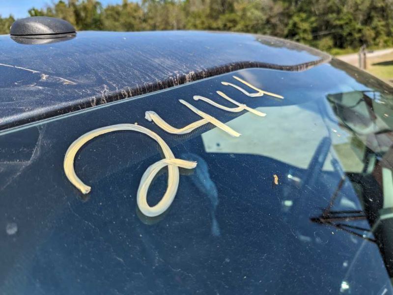 2015-2020 Ford F150 4x4 Pickup Truck Passenger Rear Caliper Brake Pad 2444 - The Parts Farm