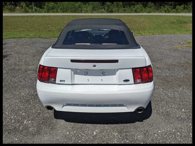 2003-2004 Ford Mustang Cobra SVT DOHC 4.6L Driver Side Fender Liner OEM Factory - The Parts Farm