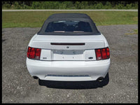 2003-2004 Ford Mustang Cobra SVT DOHC 4.6L Driver Side Fender Liner OEM Factory - The Parts Farm