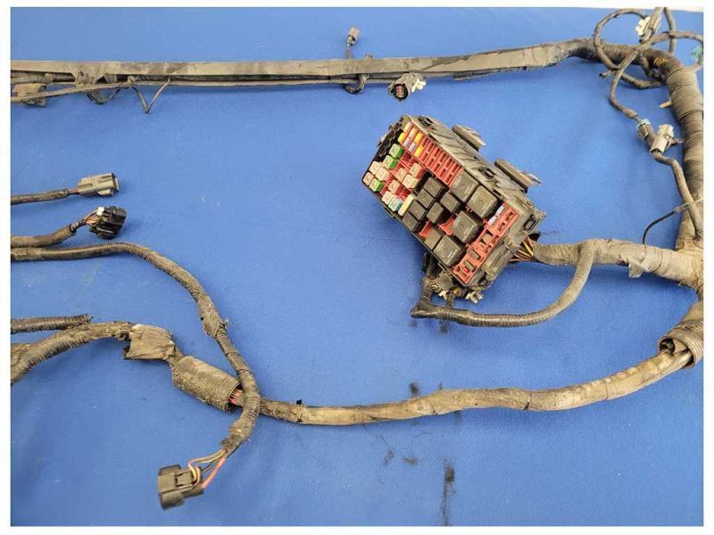 2003-2004 Mercury Marauder 4.6 Power Distribution Harness Wire Engine Plug 2534 - The Parts Farm