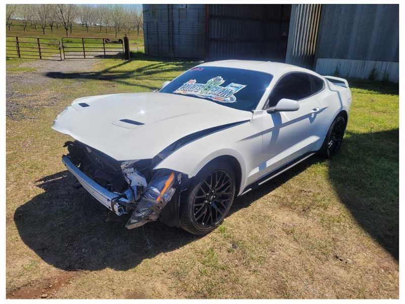 2015-2023 Ford Mustang GT S550 Pair Door Sill Plates Scuff Panel Light 2353 - The Parts Farm