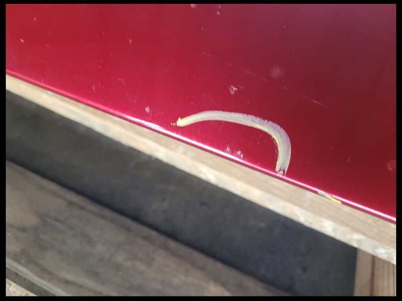 2013-2014 Ford Mustang GT Passenger Right Front Door Coupe Shell Paint RR 2247 - The Parts Farm