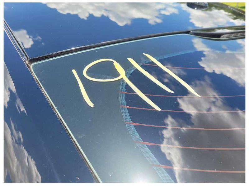 2015-2023 Ford Mustang GT S550 Door Sill Scuff Plate Trim Molding Lighted OEM - The Parts Farm