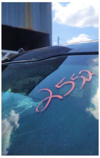 2018-2020 Ford F150 F-150 Pickup Truck Front Bezel Gauge Trim Surround 2552 - The Parts Farm