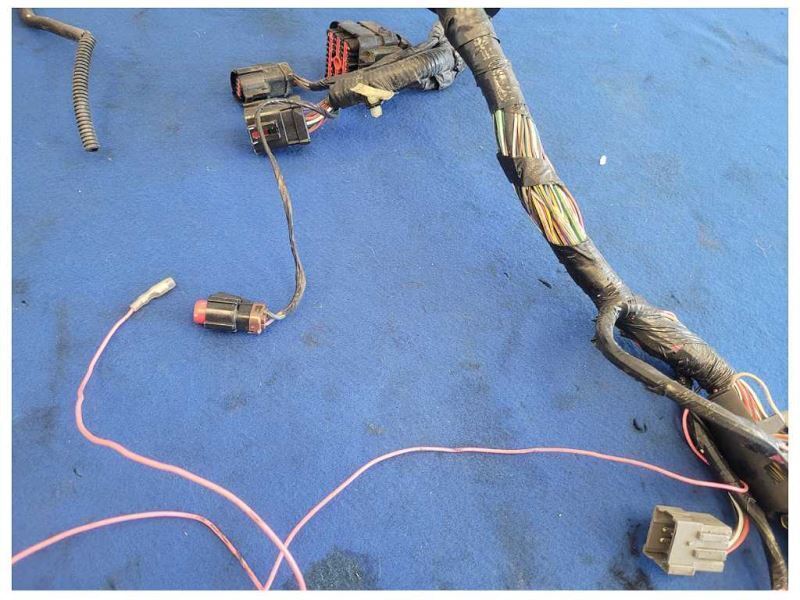 2003 Ford Mustang GT 4.6L Coupe Lamp Front Harness Wire Plug *Cut* 2556 - The Parts Farm