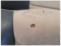 2003-2004 Ford Mustang Cobra SVT Convertible Parchment Rear Seat Tan 1831 - The Parts Farm