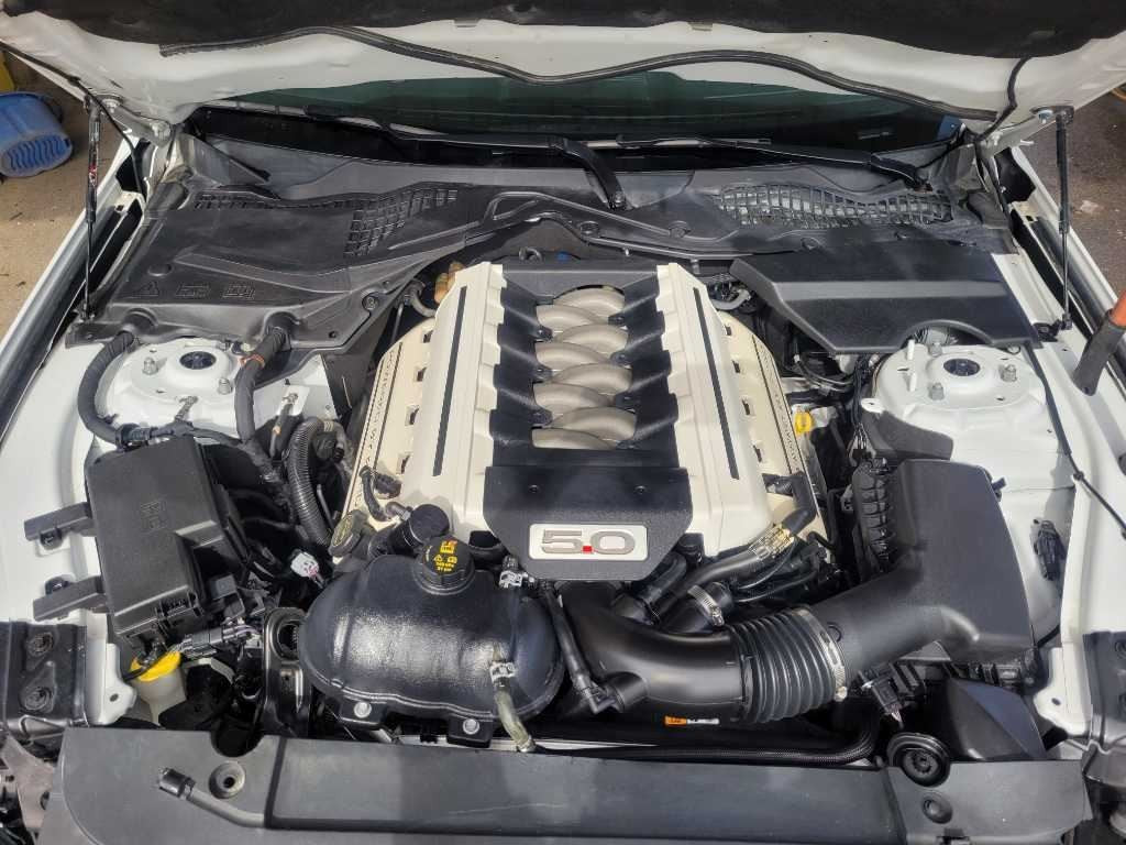 47850644