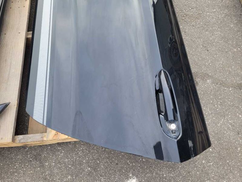 2015-2023 Ford Mustang GT S550 Driver Left Front Door Coupe Shell Paint G1 - The Parts Farm