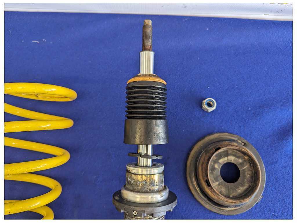 2015-2017 Ford Mustang GT S550 ST Suspension Front Strut Spring 2411 - The Parts Farm