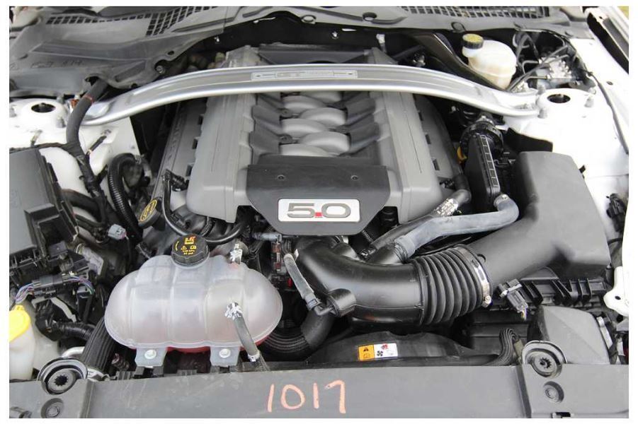 2015 2016 2017 Ford Mustang GT Upper Radiator Cover Shroud Sight Shield - The Parts Farm