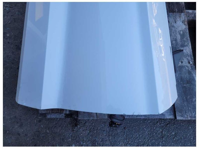 2015-2023 Ford Mustang GT S550 Passenger Door Coupe Shell Front Paint UG 2510 - The Parts Farm
