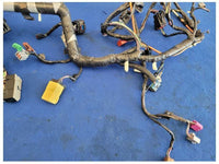 2004 Ford Mustang GT Coupe 4.6L Dash Harness Wire Plug Auto Trans 2589 - The Parts Farm